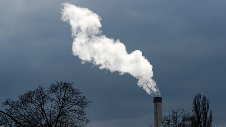 Rauch steigt aus einem Schornstein von einem Heizkraftwerk (Symbolbild): Die Initiative plant eine Kundgebung an der Hasenheide.