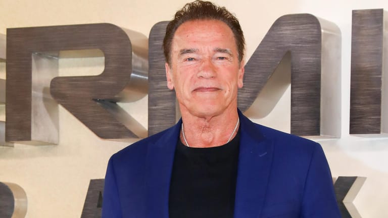 Arnold Schwarzenegger: Er hat bei einer Klimakonferenz in Wien über die Vorgehensweise von Klimaschützern gesprochen.