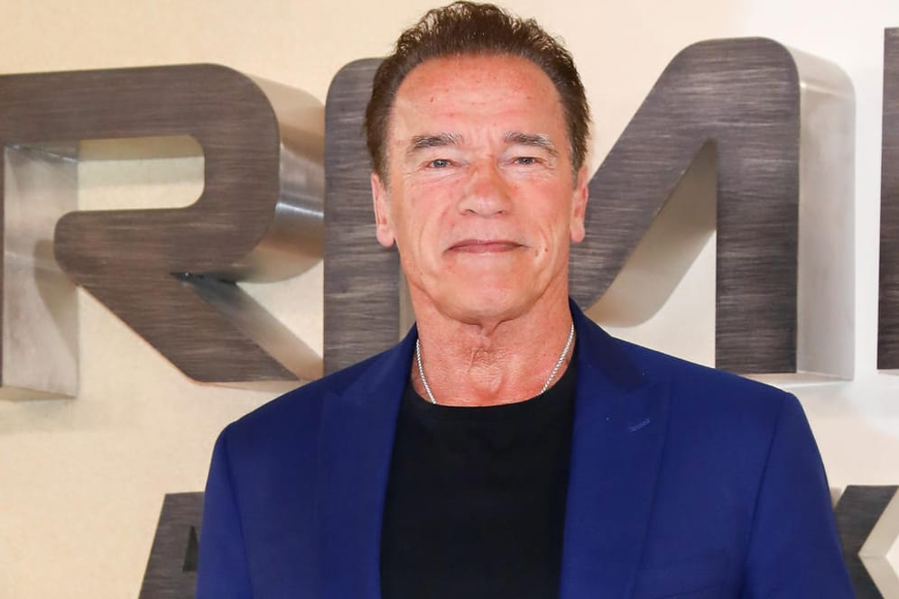Arnold Schwarzenegger: Er hat bei einer Klimakonferenz in Wien über die Vorgehensweise von Klimaschützern gesprochen.