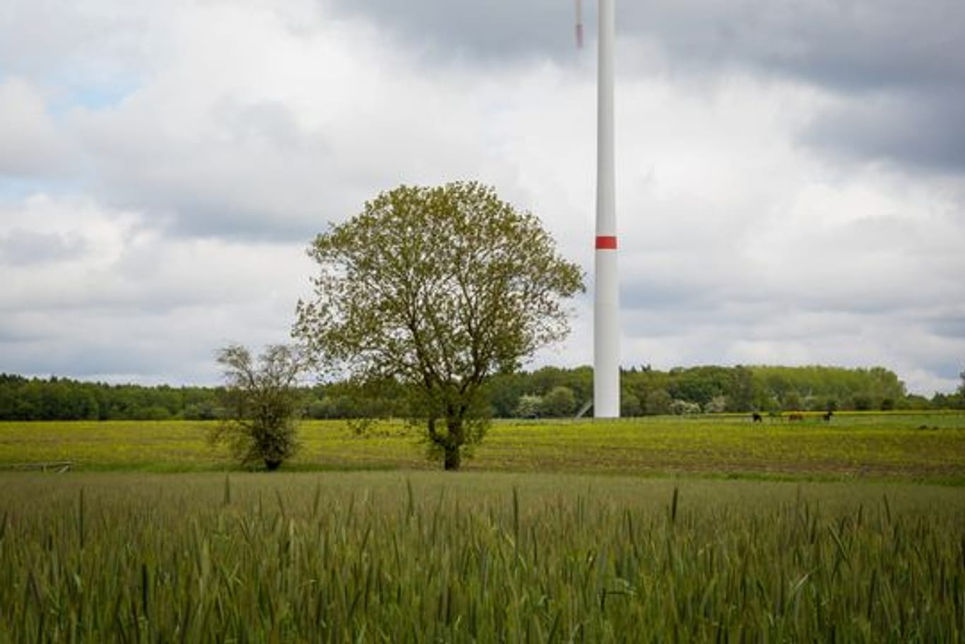 Eine Windkraftanlage steht in einer Landschaft