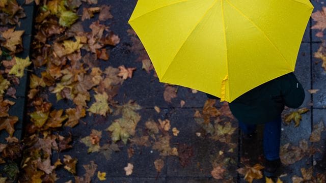 Regenwetter
