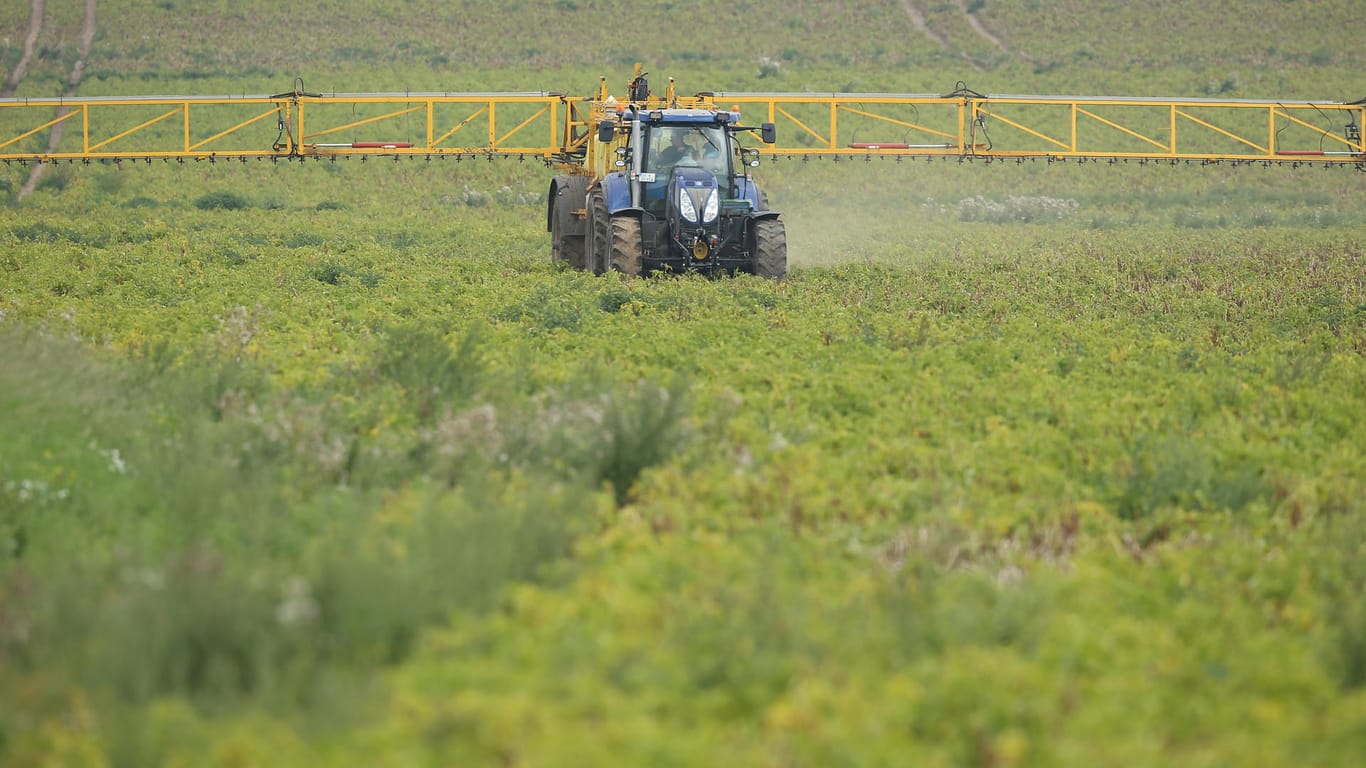Pestizide werden auf ein Feld gespritzt: Seit Jahren tobt eine Debatte um das Pflanzenschutzmittel Glyphosat.