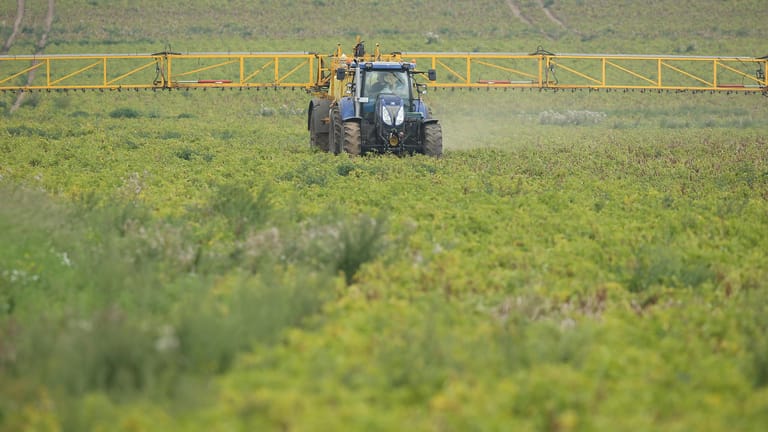 Pestizide werden auf ein Feld gespritzt: Seit Jahren tobt eine Debatte um das Pflanzenschutzmittel Glyphosat.