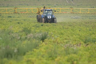 Pestizide werden auf ein Feld gespritzt: Seit Jahren tobt eine Debatte um das Pflanzenschutzmittel Glyphosat.