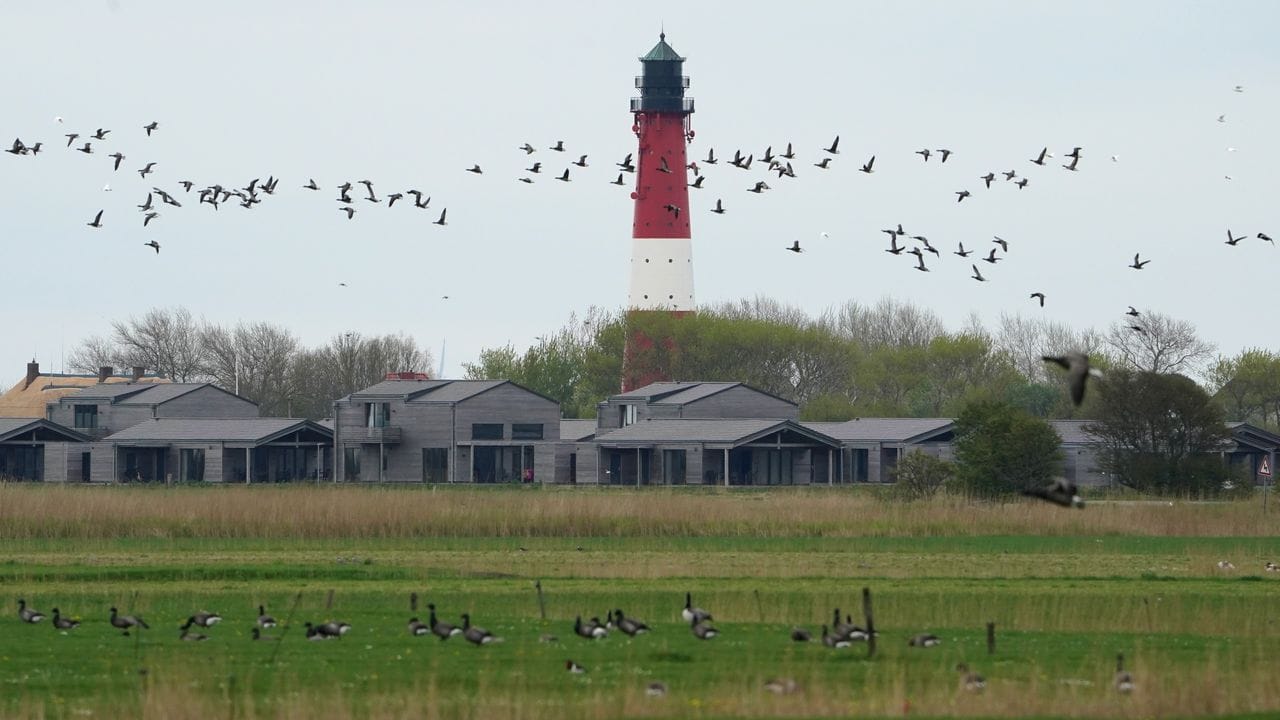 Ferienhäuser und Ferienwohnungen auf der Nordseeinsel Pellworm. Ferienhäuser und Ferienwohnungen auf der Nordseeinsel Pellworm.