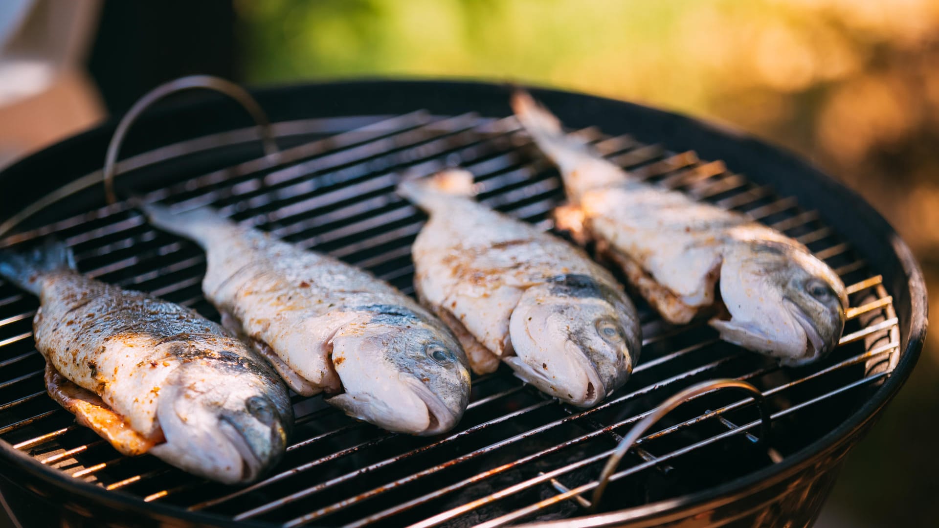 Grillen: Als Grillgut eignen sich sowohl ganze Fische als auch Filets.