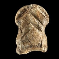 Verzierter Riesenhirsch-Knochen: Das Kunstwerk ist 51.000 Jahre alt.