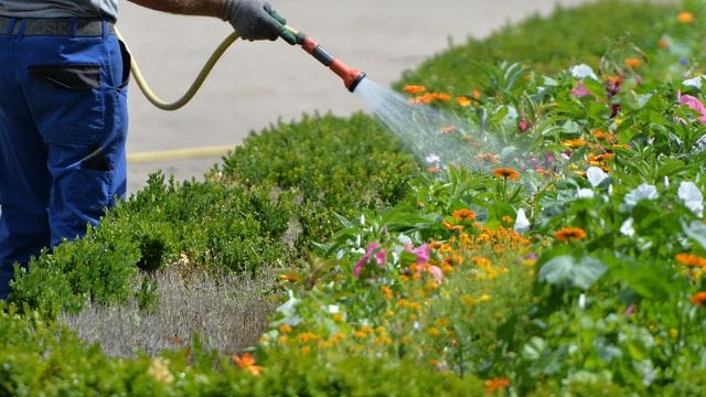 Gartenbewässerung kostet Geld.