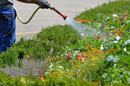 Gartenbewässerung kostet Geld.