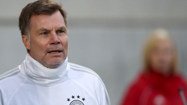 Ex-Europameister Thomas Helmer schlägt vor, den Fokus auf die EM 2024 und nicht auf die WM 2022 zu richten. Ex-Europameister Thomas Helmer schlägt vor, den Fokus auf die EM 2024 und nicht auf die WM 2022 zu richten.