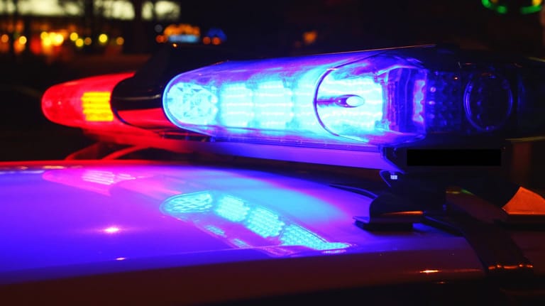 Blaulicht eines US-Polizeiwagens (Archivbild): Ein Mann ist in Kansas von seinem Hund erschossen worden.