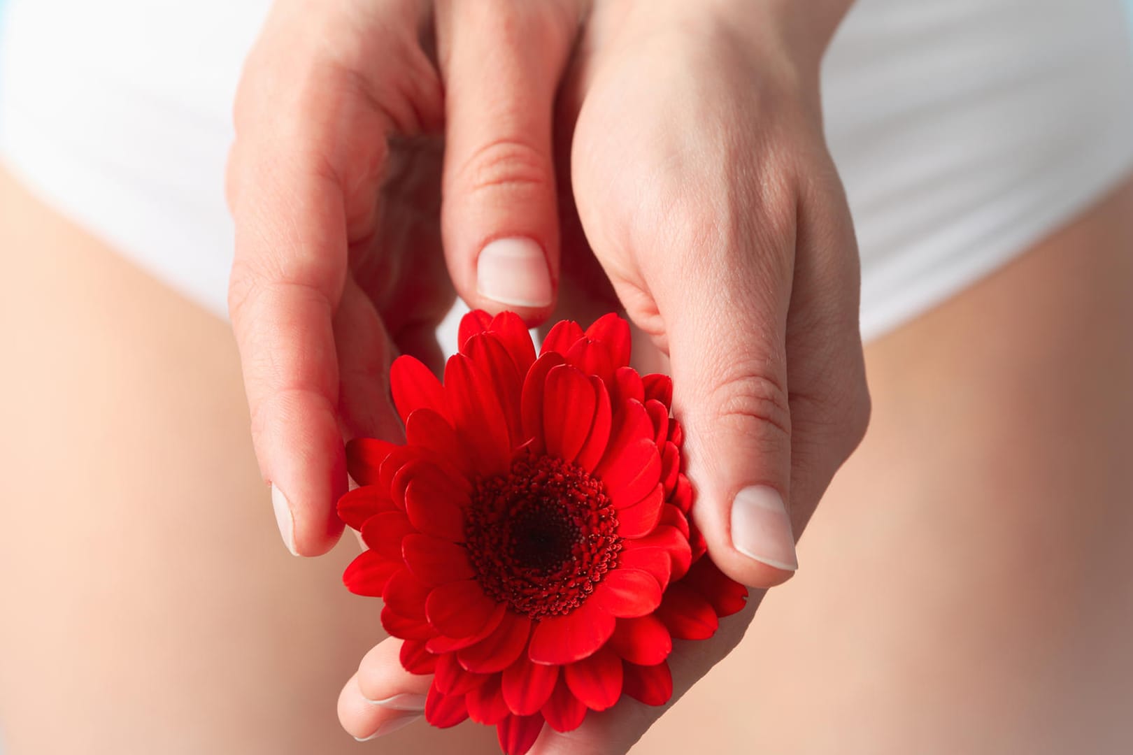 Frau in Slip hält eine Blume vor den Schritt. Eine gesunde Scheidenflora schützt vor lästigen Infektionskrankheiten im Intimbereich.