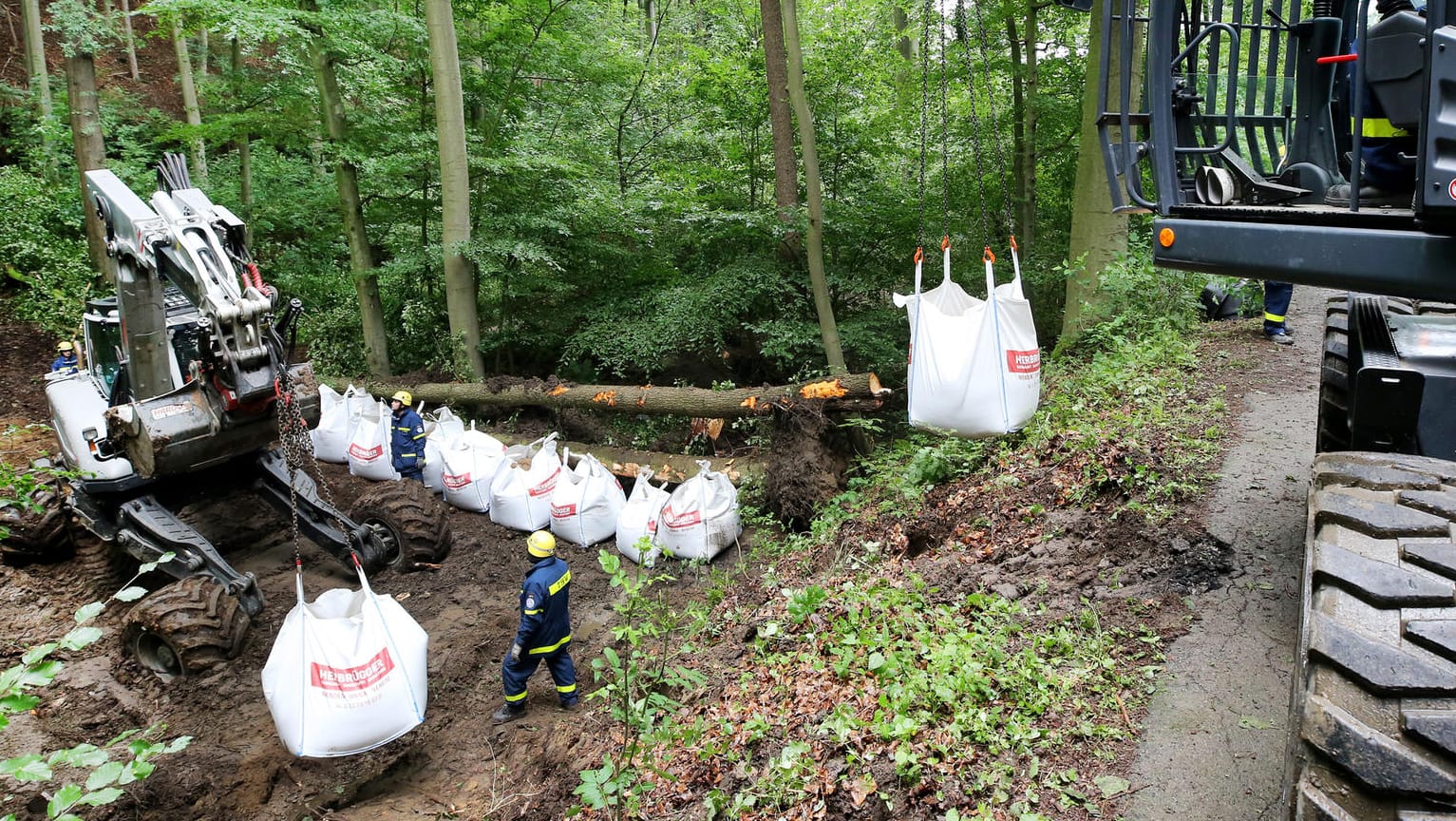 Ausgepumter Angelteich in Fröndenberg wird gesichert