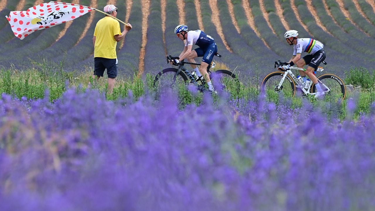 Durch den Lavendel der Provence: Dan Martin und Julian Alaphilippe (r) auf dem Weg Richtung Mont Ventoux.