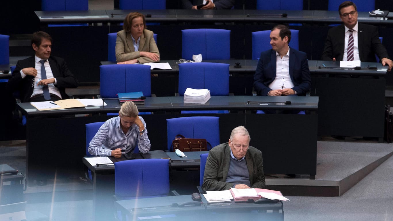 AfD im Bundestag: Die Partei wehrt sich vor Gericht gegen eine Einschätzung des Verfassungsschutzes.