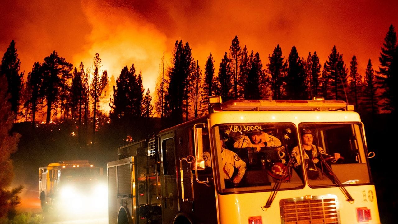 Feuerwehrleute sind beim sogenannten "Sugar Fire" im Plumas National Forest im Einsatz.