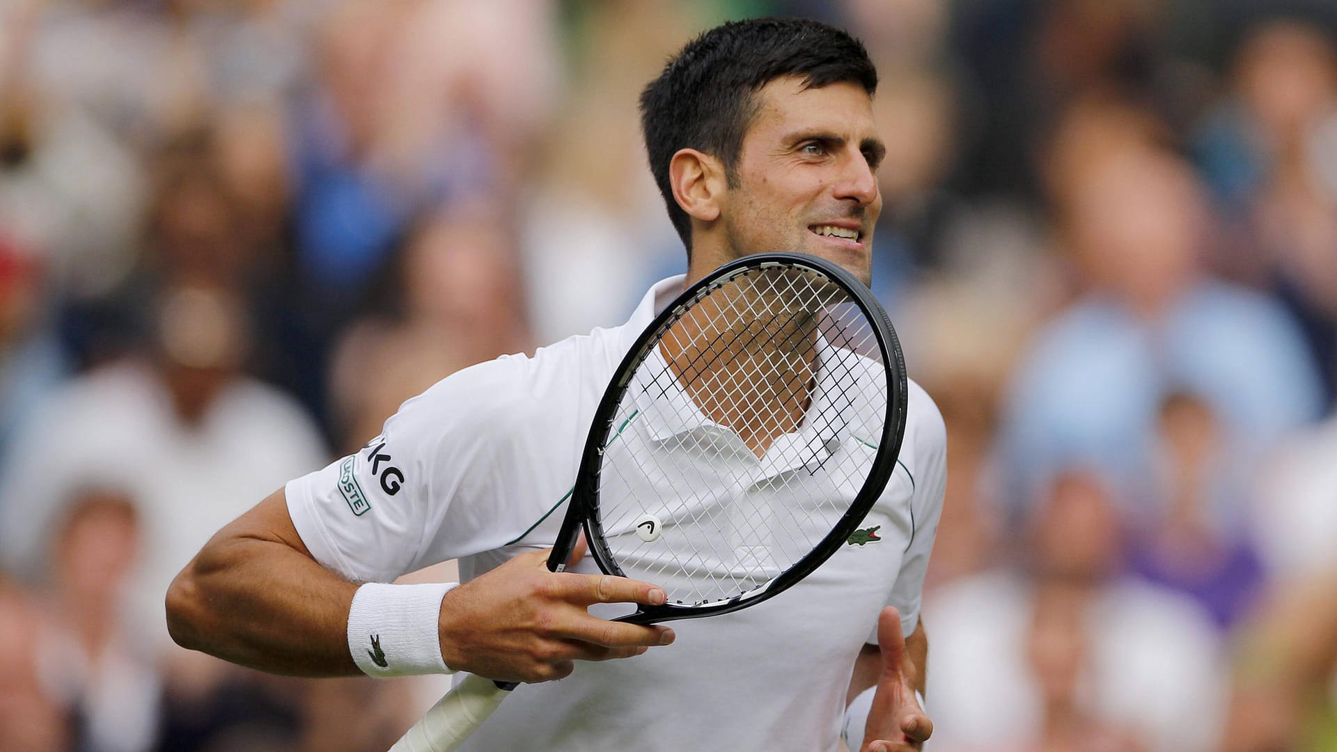 Novak Djokovic: Der Serbe geht als Favorit ins Endspiel von Wimbledon.