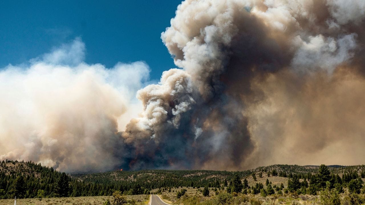 Eine Rauchwolke steigt vom Sugar Fire auf, einem Teil des Beckwourth Complex Fire, das im Plumas National Forest in Kalifornien brennt.