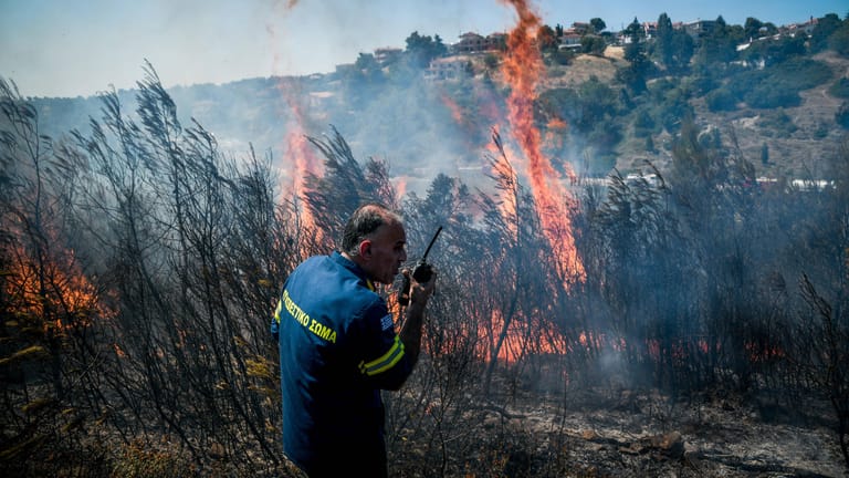 Brand in einem Waldgebiet in Barnabas: Die Feuerwehr bekämpft den Brand vom Boden und aus der Luft.