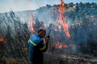 Brand in einem Waldgebiet in Barnabas: Die Feuerwehr bekämpft den Brand vom Boden und aus der Luft.