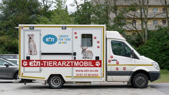 Das Tierarztmobil des Europäischer Tier- und Naturschutz e.V. steht auf einem Parkplatz: Neben Akutbehandlungen führt eine Tierärztin in dem umgebauten Krankenwagen auch Vorsorgeuntersuchungen, Impfungen und kleine Operationen durch.