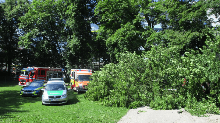 Unglücksstelle in Augsburg: Der Baum hatte einen Durchmesser von 80 Zentimetern.