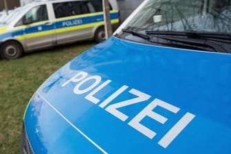 Ein Polizeiwagen parkt auf einer Grünfläche: In Ober-Olm sollen am Samstagabend vier Verdächtige aus einem fahrenden Auto heraus Schüsse abgefeuert haben.