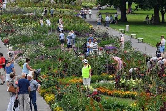 Blumen blühen auf dem Gelände der Bundesgartenschau: Die Buga lockt viele Gäste an.