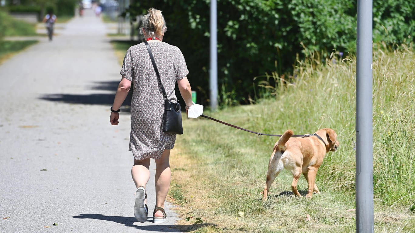 Eine Frau geht mit ihrem Hund Gassi (Symbolbild): In Dortmund musste ein Hund eingeschläfert werden, weil er vermutlich mit Gift präpariertes Brot fraß.