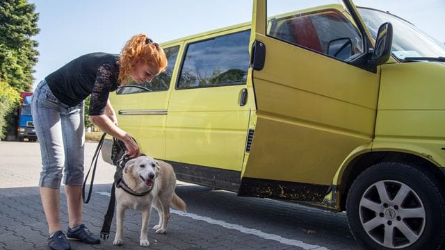 Endlich Beine vertreten: Wer auf den Weg zum Urlaubsziel ist, legt besser regelmäßig Pausen ein. Endlich Beine vertreten: Wer auf den Weg zum Urlaubsziel ist, legt besser regelmäßig Pausen ein.