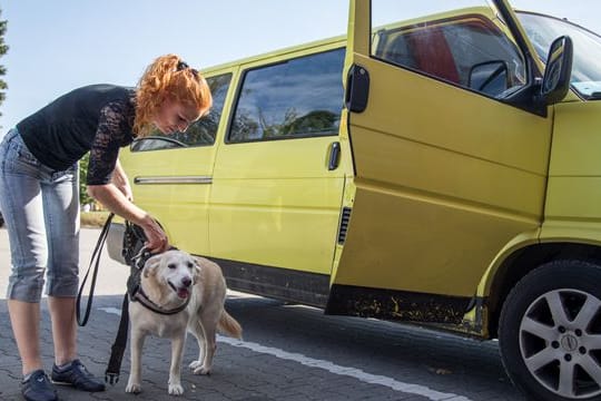 Endlich Beine vertreten: Wer auf den Weg zum Urlaubsziel ist, legt besser regelmäßig Pausen ein.