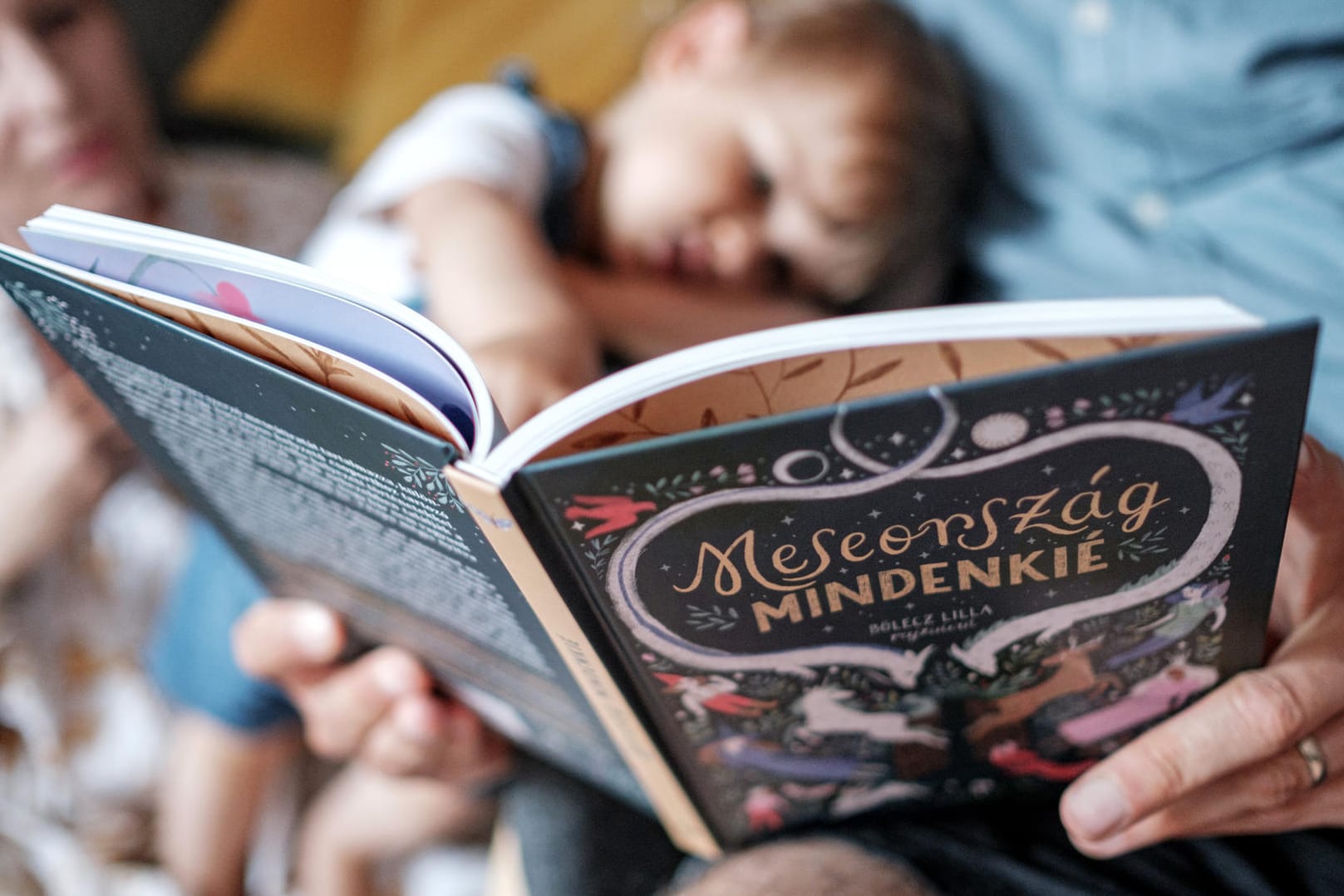 Das Kinderbuch "Märchenland ist für alle": Der Redakteur verlässt nun seine Heimat Ungarn.