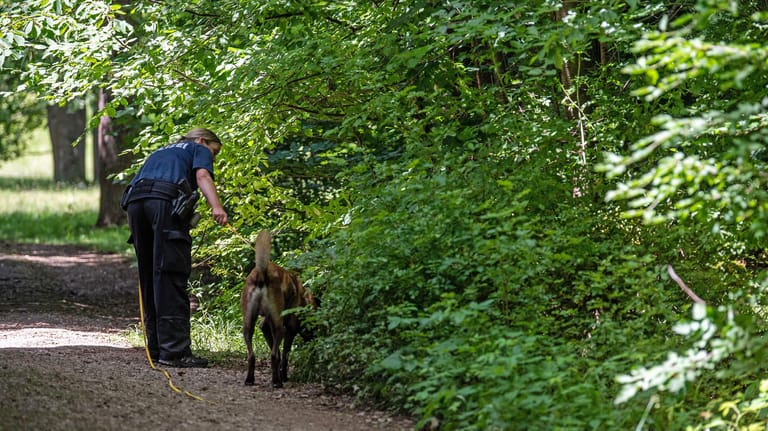Eine Polizistin sucht mit Hilfe eines Suchhundes am Rande eines Waldstückes in München nach Hinweisen (Archivbild): Dort soll der Mann das Kind vergewaltigt haben.