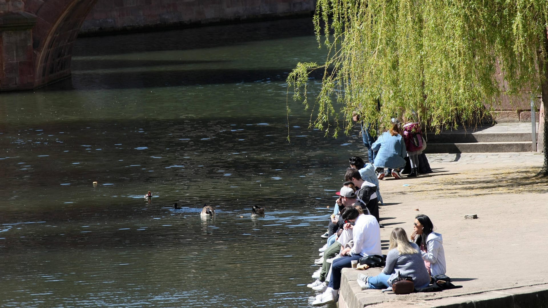 Menschen sitzen an der Pegnitz in Nürnberg (Archivbild): Ein Senior wurde aus dem Fluss gerettet. Menschen sitzen an der Pegnitz in Nürnberg (Archivbild): Ein Senior wurde aus dem Fluss gerettet.