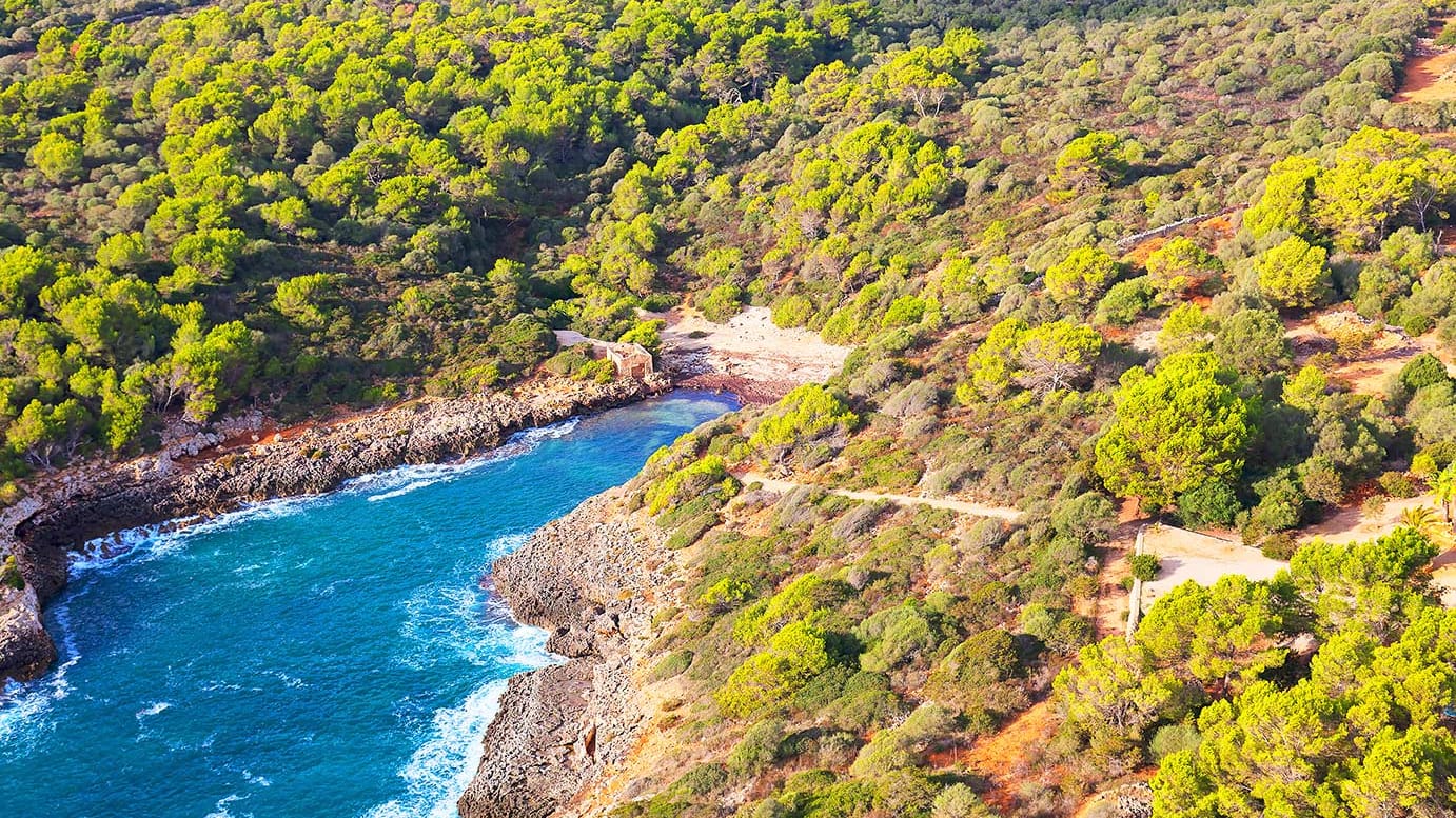 Cala Brafi: Die kleine Bucht hat einen Sand- und Felsstrand.