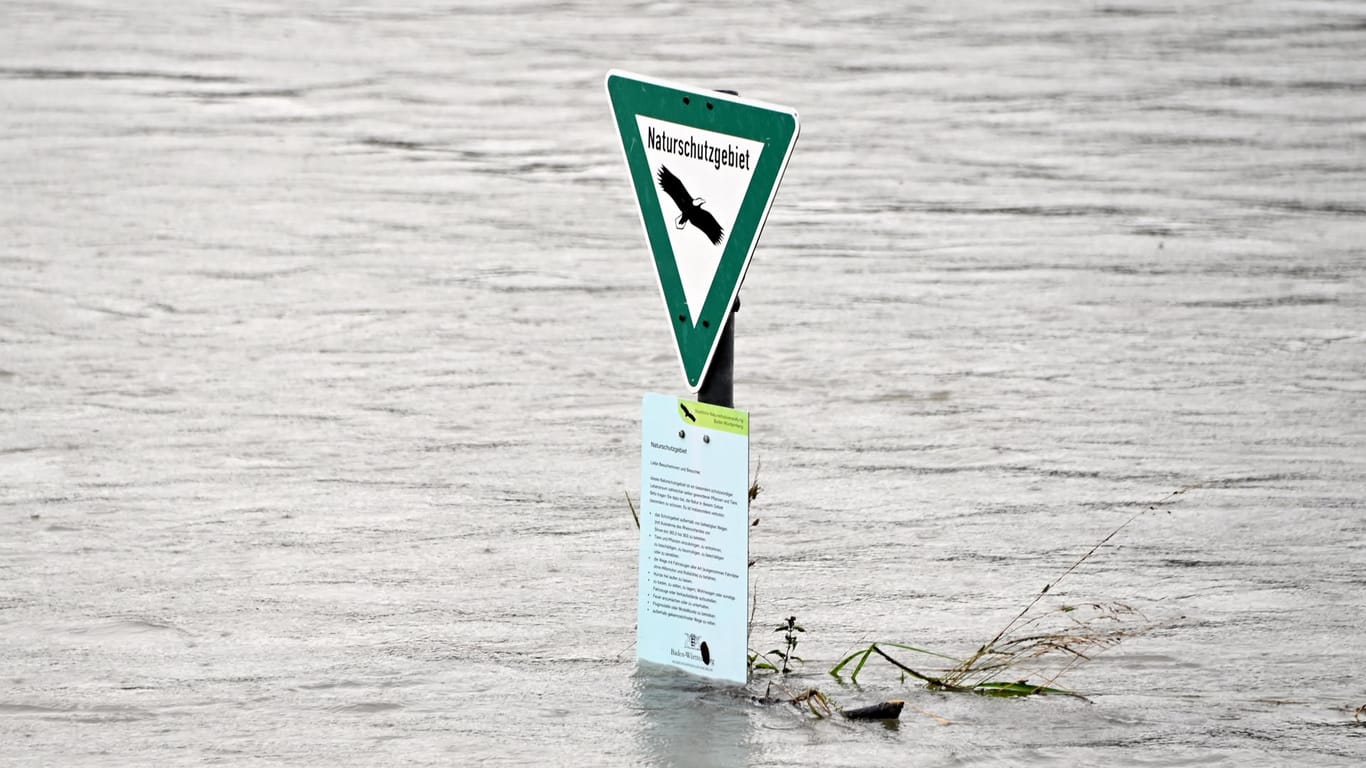 Hochwasser in Karlsruhe: In den letzten Tagen stieg der Rheinpegel stark an.