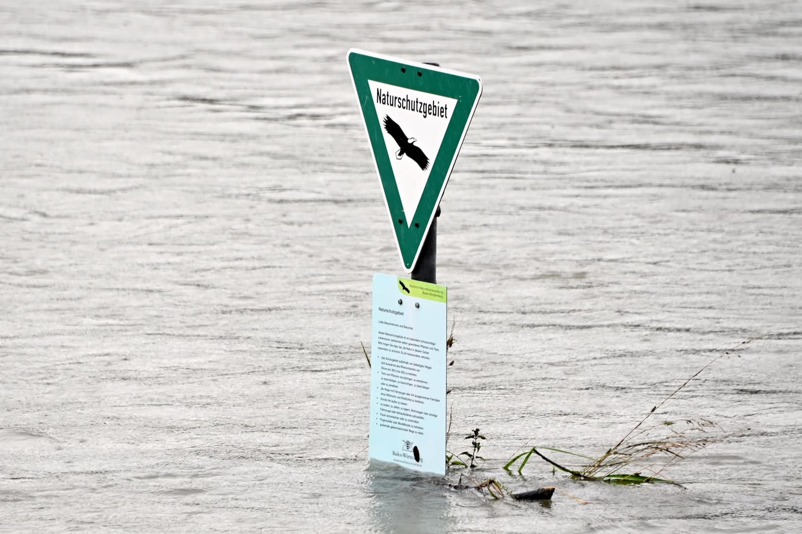 Hochwasser in Karlsruhe: In den letzten Tagen stieg der Rheinpegel stark an.