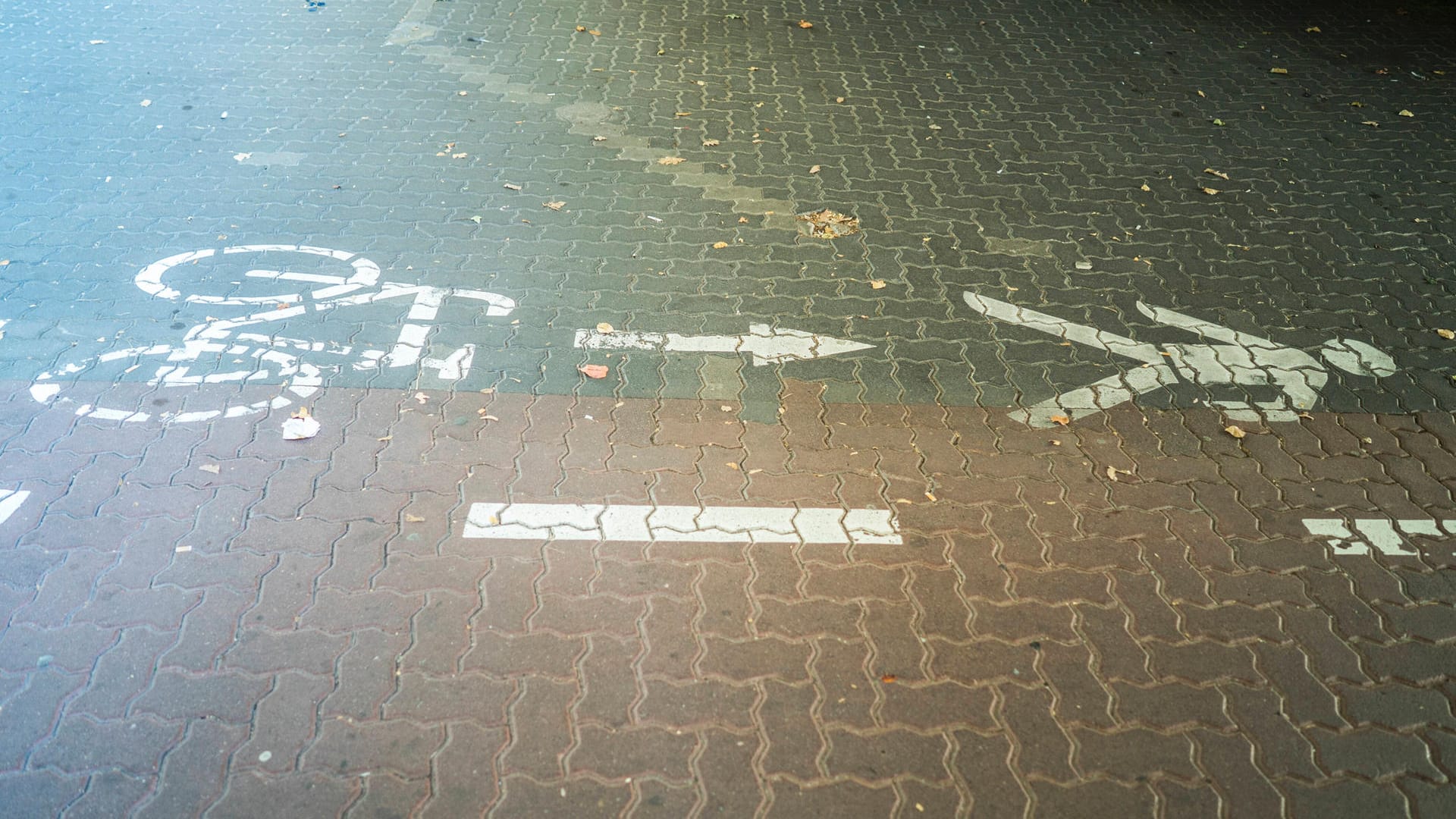 Ein gemeinsamer Fahrrad- und Fußweg in Bielefeld (Symbolbild): Auf einem solchen Weg ist die Radfahrerin grundlos von einem Unbekannten umgetreten worden. Ein gemeinsamer Fahrrad- und Fußweg in Bielefeld (Symbolbild): Auf einem solchen Weg ist die Radfahrerin grundlos von einem Unbekannten umgetreten worden.