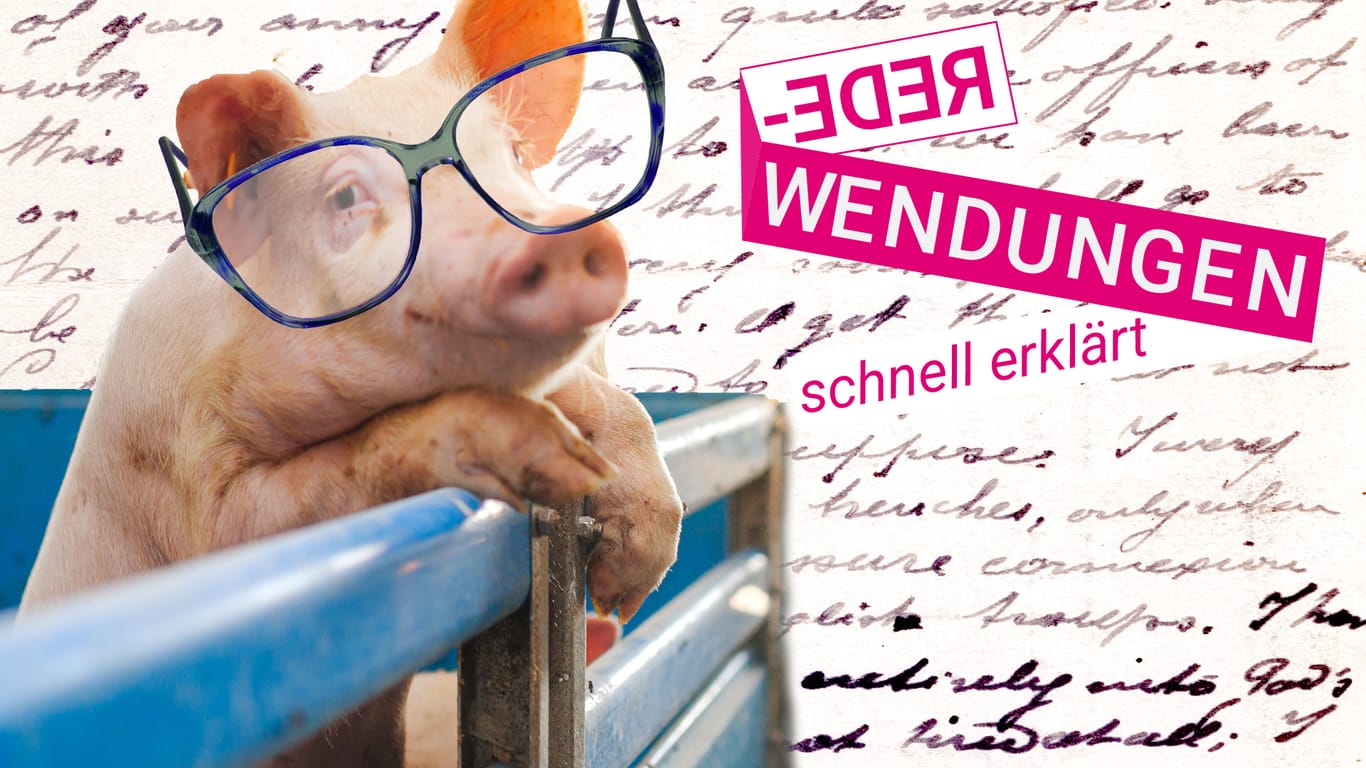Redewendungen: Wissen Sie, wer das Schwein in "Das kann doch kein Schwein lesen!" ist?