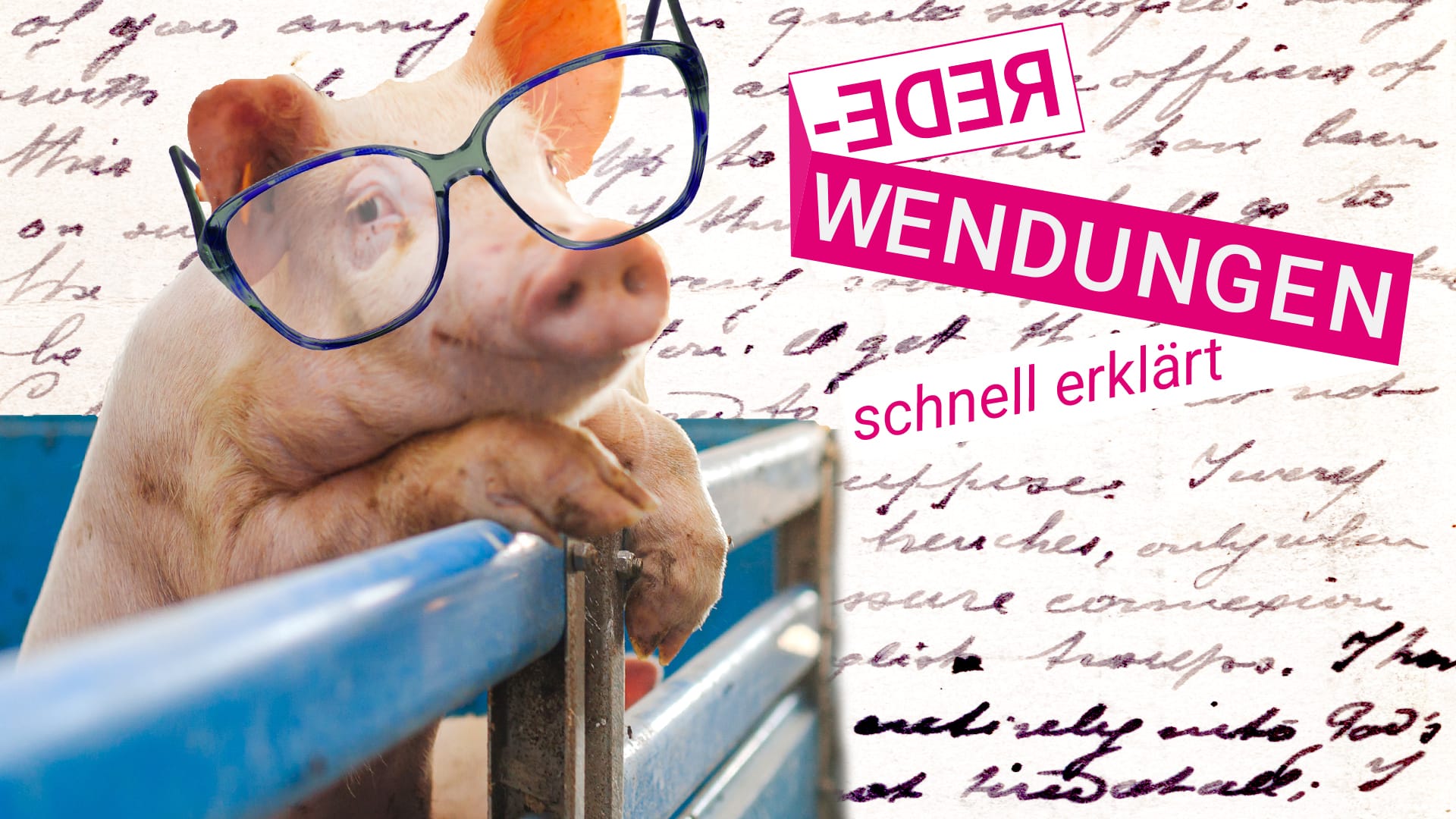 Redewendungen: Wissen Sie, wer das Schwein in "Das kann doch kein Schwein lesen!" ist?