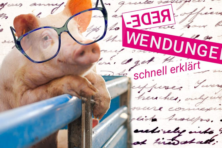 Redewendungen: Wissen Sie, wer das Schwein in "Das kann doch kein Schwein lesen!" ist?