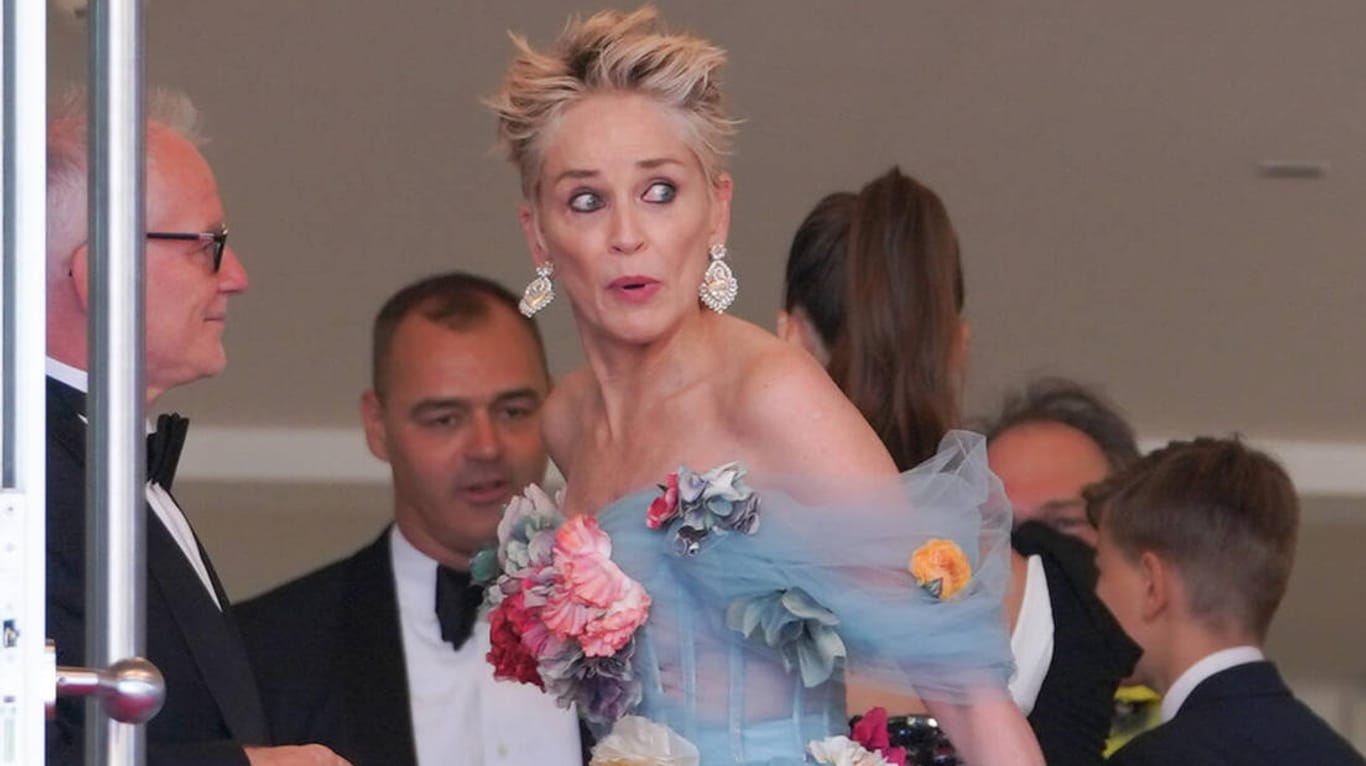 Sharon Stone: Beim Filmfestival in Cannes präsentierte der Hollywoodstar ein ungewöhnliches Kleid.
