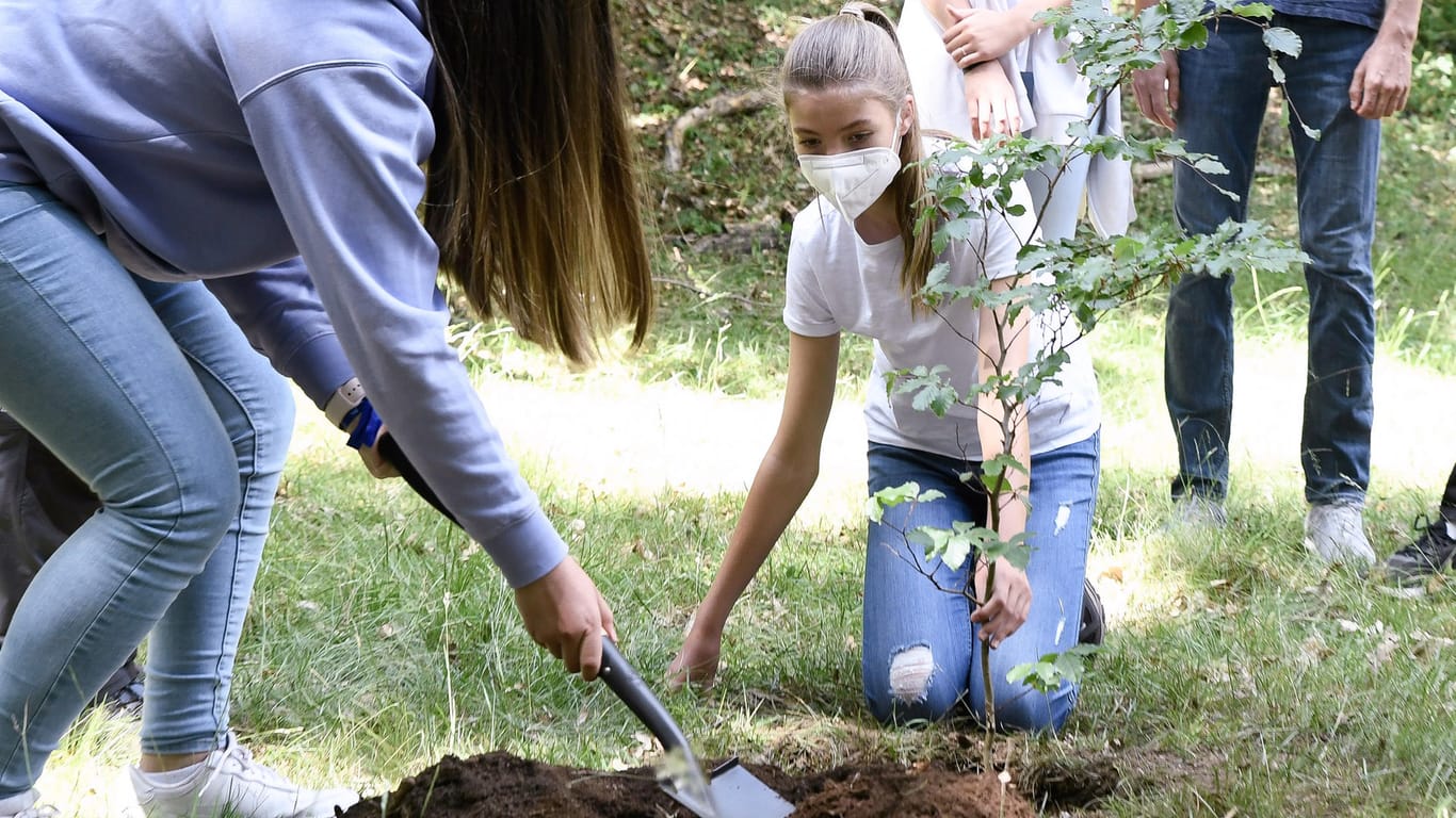 Prinzessin von Spanien pflanzt einen Baum im Rahmen einer Veranstaltung mit dem Titel #EinBaumFürEuropa.