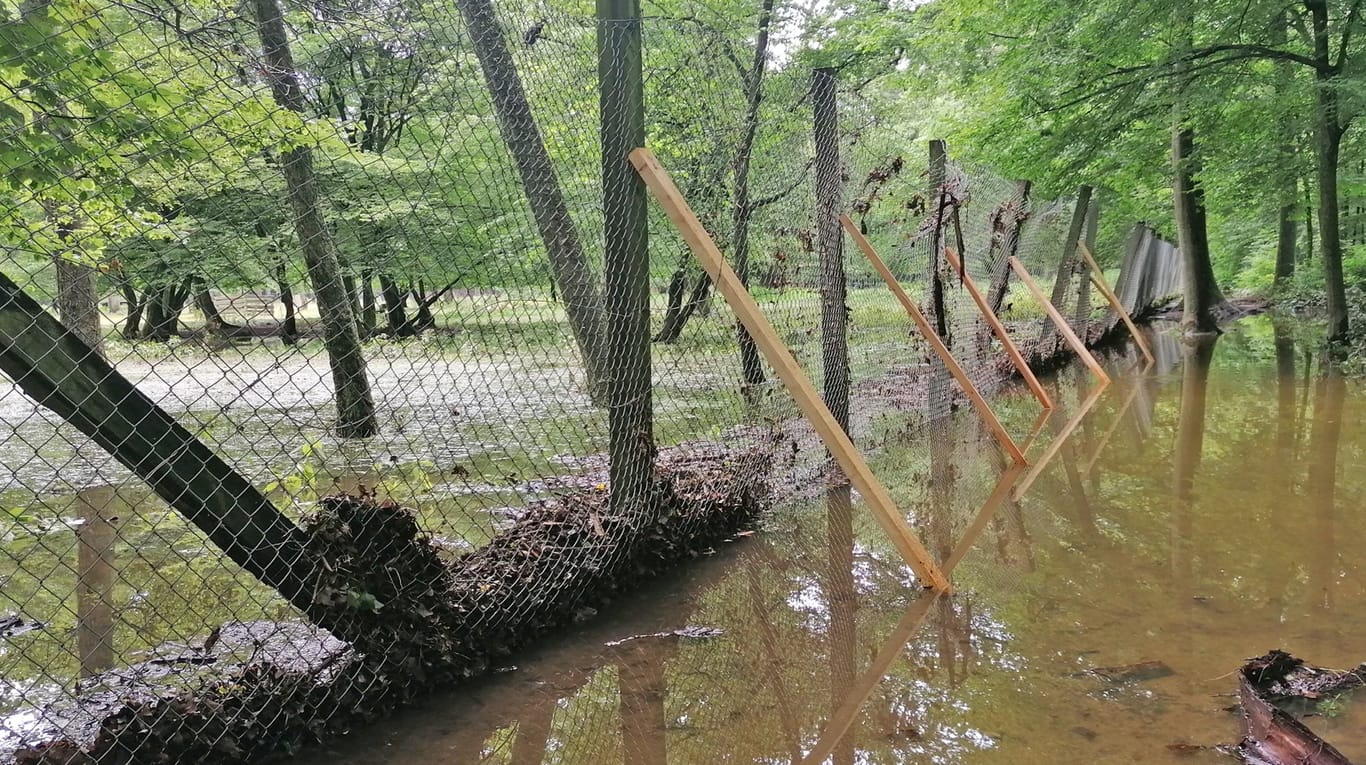 Wasserfläche im Wald: Ein aus dem Ufer getretener Bach hat für enormen Schaden gesorgt.