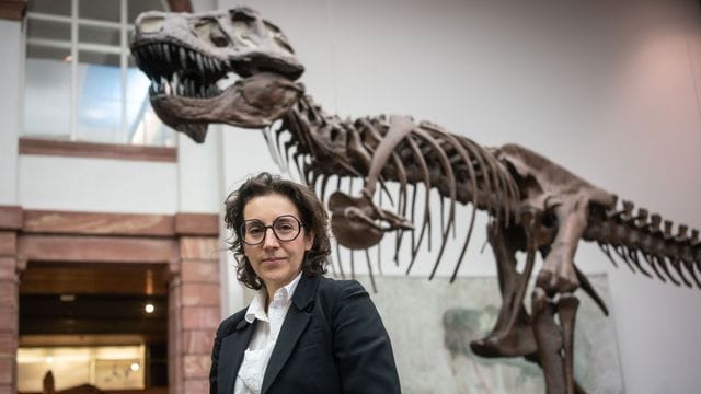 Brigitte Franzen steht in einem der Ausstellungsräume Brigitte Franzen steht in einem der Ausstellungsräume