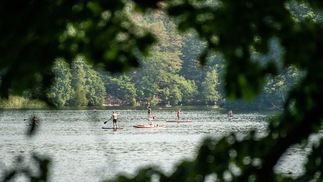 Stand-Up Paddler fahren auf dem Schlachtensee