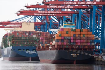 Containerschiffe im Hamburger Hafen (Archivbild): Die Lieferketten sind seit Monaten durcheinandergewirbelt.