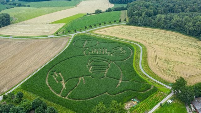 Der Landwirt Benedikt Lünemann fräste in sein Maisfeld ein riesiges Labyrinth. Der Landwirt Benedikt Lünemann fräste in sein Maisfeld ein riesiges Labyrinth.