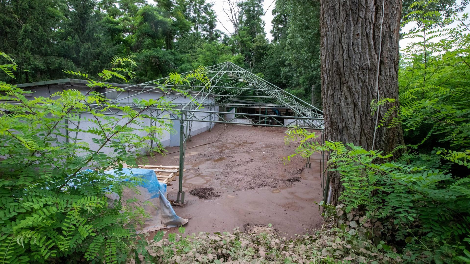 Blick auf das Schützenheim: Das Wasser ist abgelaufen, die Schäden am Haus nur zu erahnen.