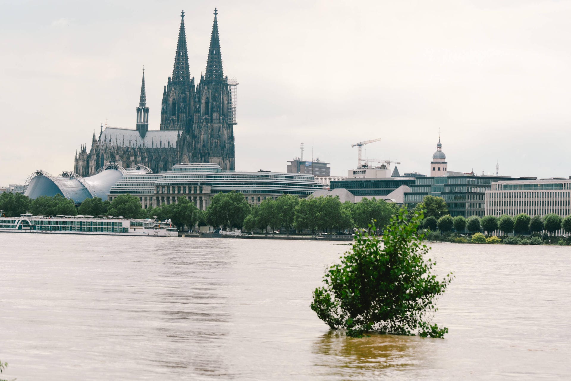 Wasser tritt übers Ufer: In Köln ist der Pegel nach Starkregen gestiegen.